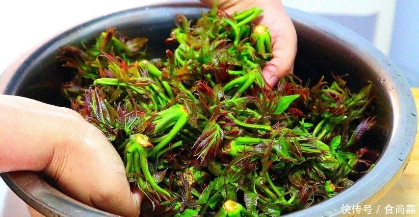吃香椿,焯水还是不焯水?别随便吃,和大厨学正确做法,又香又嫩