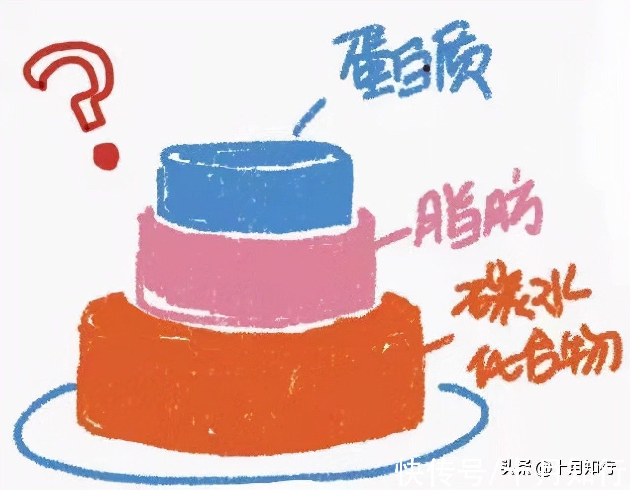 节食|想要减掉大肚腩，缩小腰围，做好三件事，然后考虑腹部训练