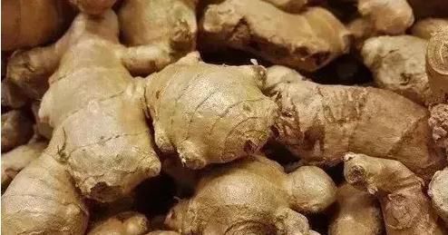 猪肚|“1勺糖、2片姜”，老祖宗传下来的东西，竟可以治这么多病！