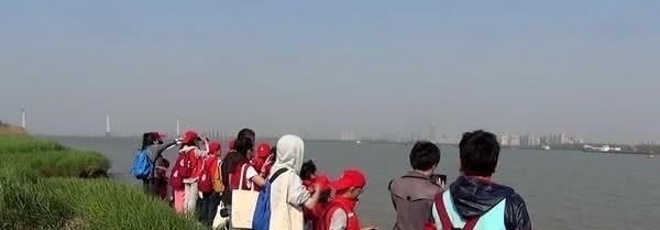 钓鱼|钓鱼成最大威胁罕见江猪成群现身,市民担忧:附近钓鱼的太多!