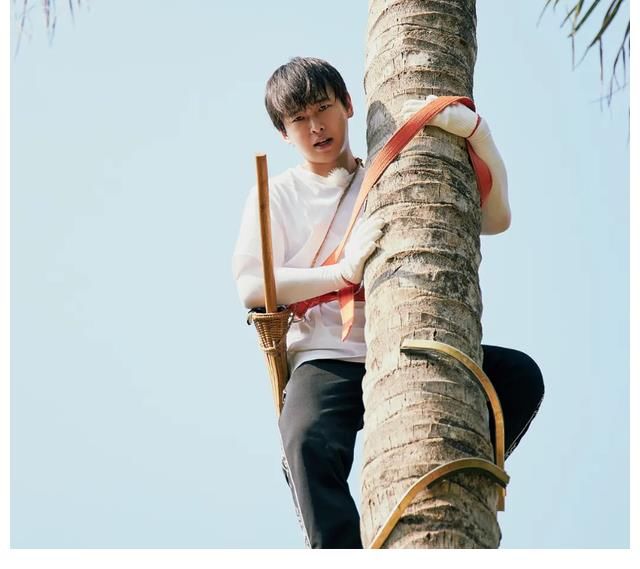 鹿晗|《哈哈哈哈哈2》即将开录！看到嘉宾阵容后，网友：搞笑界的王炸