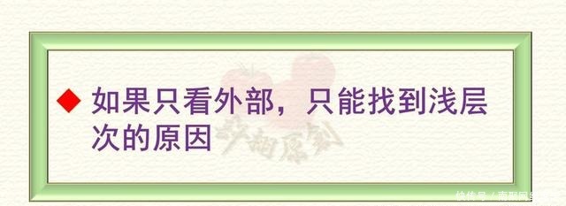  史纲|许栩2020读书笔记之8：《西方史纲：文明纵横3000年》