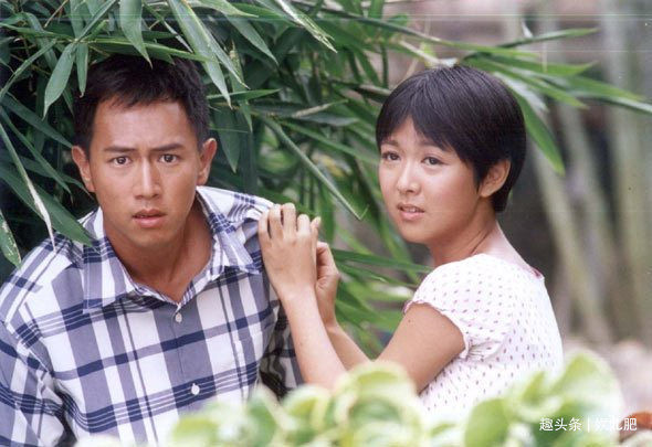 2005年TVB十强收视,最喜欢《学警雄心》,第一名不是港剧