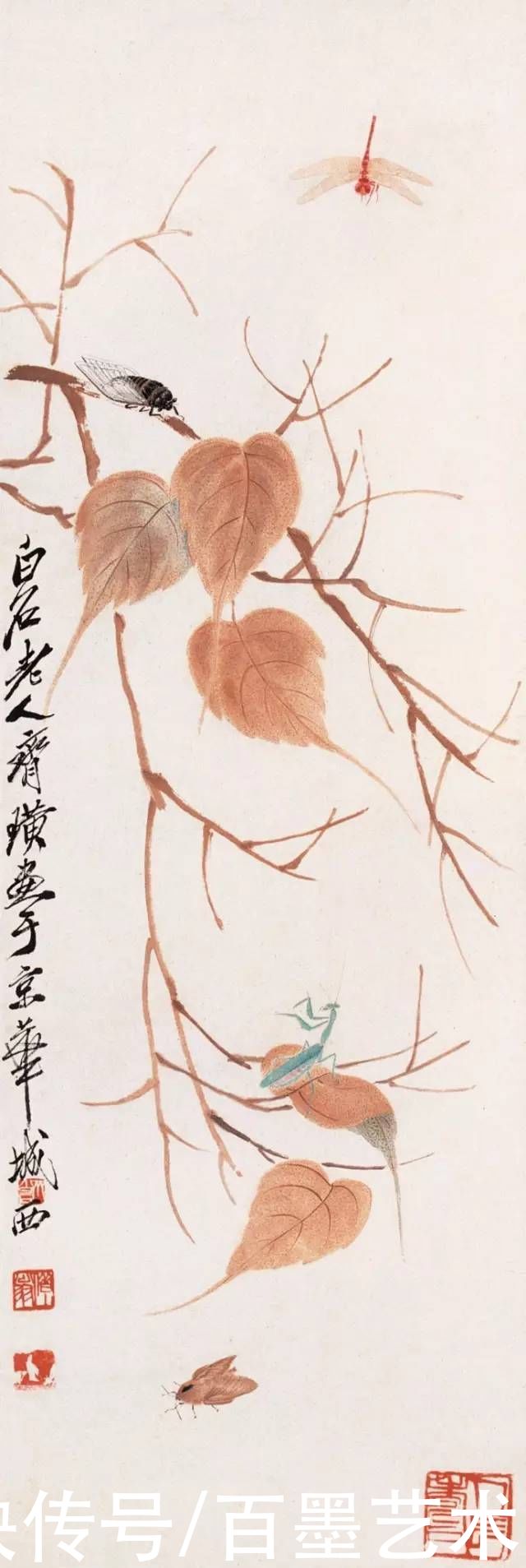 蝴蝶|齐白石草虫图200张，他把草虫画活了