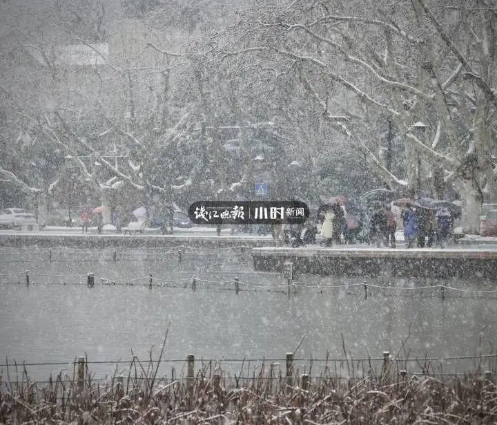 新闻记者|今天杭州人刷屏的“鹅毛大雪”，只是小到中雪？并非十年未见？真相来了