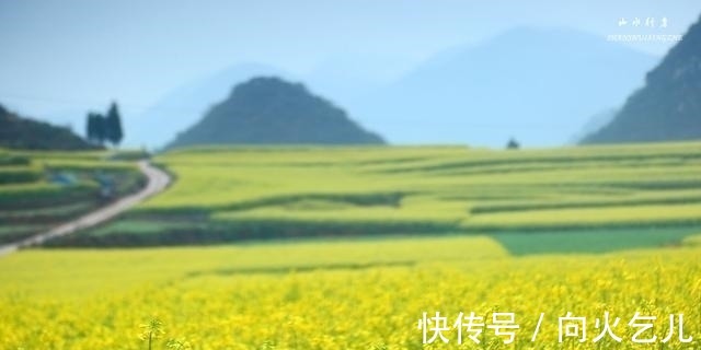 云南省|这个小县，竟然集中国最美峰林、最美瀑布、最美油菜花海于一身！