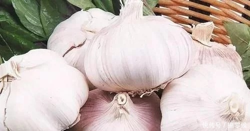家里保存大蒜其实很简单,教你个土法子,别再担心大蒜长芽干瘪了