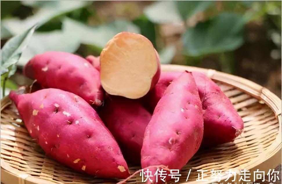 晒红薯干时,学会这2个技巧,软糯香甜有嚼劲,再也不用买着吃了