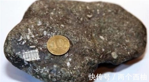 奇石|渔民捡到奇石,镶嵌2.5亿年前“芯片”,史前真的存在高等文明?
