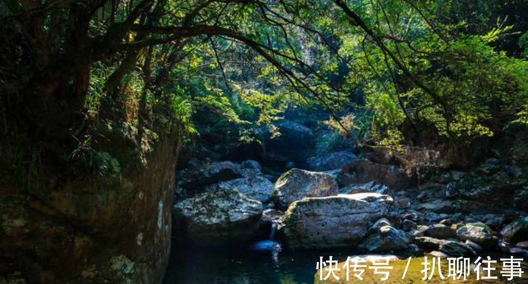 宋神宗!洗尽铅华的王安石回到江宁,写下的这首《钟山晚步》,意境高远