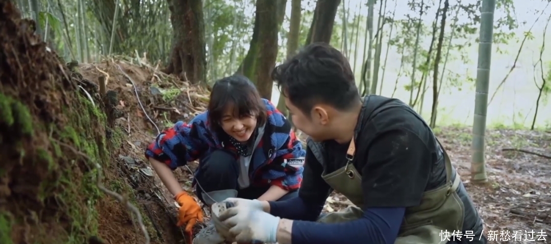 学校 张子枫被疑不爱去学校?自曝在校压力大,难怪她愿意待在《向往》