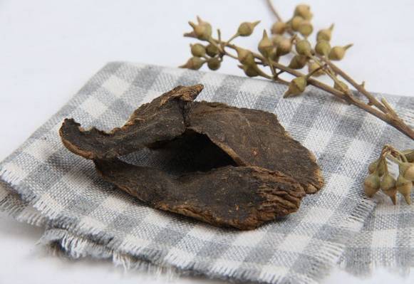 白术|张锡纯:“开挂”了的资生汤,5味药,横扫身体一切疑难杂症!