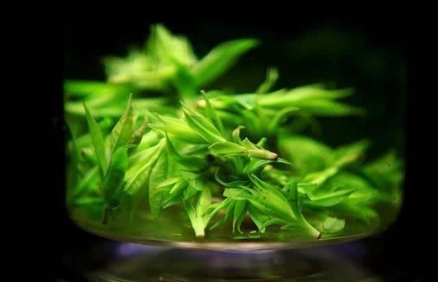 血管堵塞|血管不好,少碰二红,多吃二黑,牢记四句话,血管会越来越好