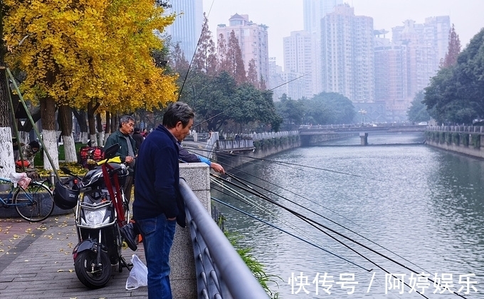 成都锦江上壮观的风景线:钓鱼竿一字排开!
