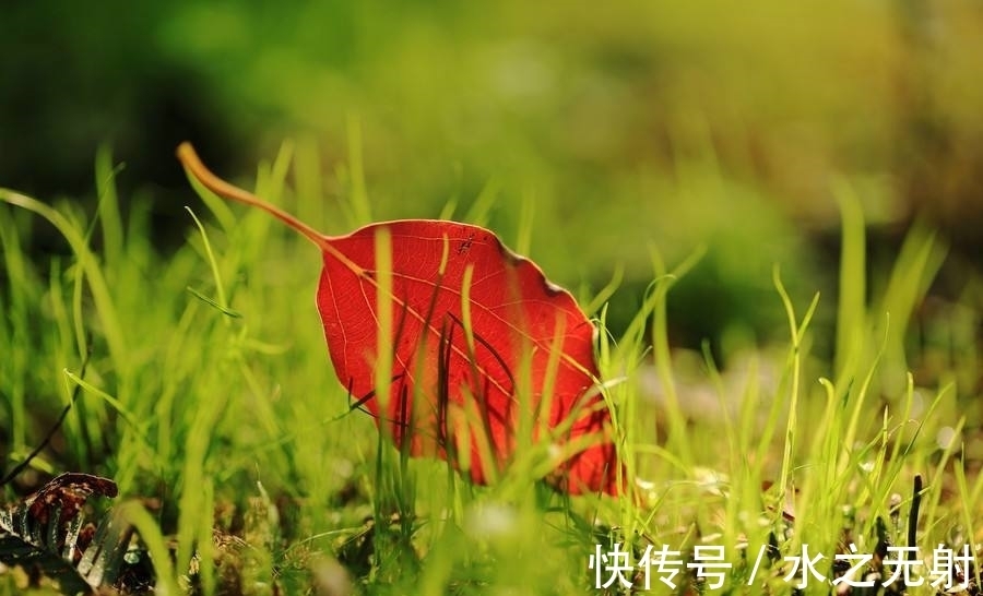 佛教|唐代诗僧的一句诗,写尽了诗意的秋天,却让人怀念故人