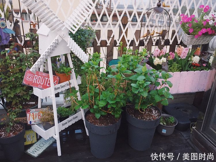 防腐木|13㎡屋顶造花园,在喧嚣城市里,打造一个自己心灵深处的伊甸园