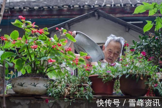 以后们|“见干见湿”原来是这个意思,我一直没搞懂,难怪养不好花