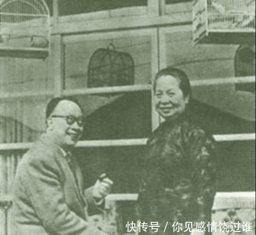 贤妻程季淑:梁实秋的成功有她一半功劳,金婚前两年却被梯子砸死