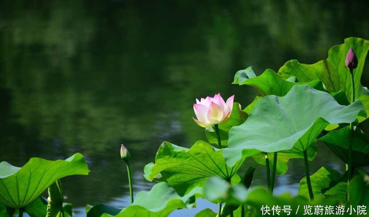  烟雨|画船听雨，流光寂寂，谁为一身江南烟雨，覆了天下