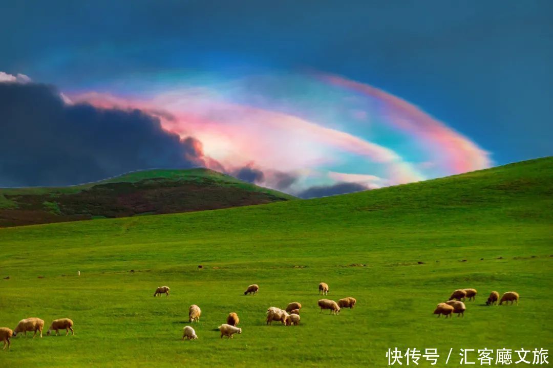 蒙古族|夏天的内蒙古草原，究竟有多美？