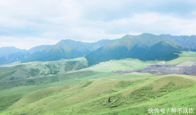 狮子座|能让狮子座心甘情愿服软的人，你上榜了吗？