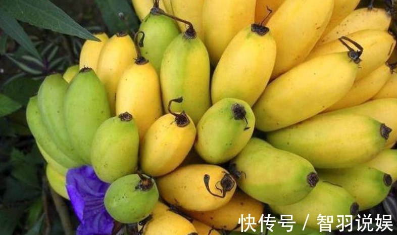 食物|女性养生先排毒，常吃以下食物，排毒清肠，呵护皮肤，好处多多