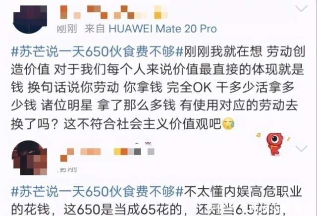 生意人 一天650的生活费还不够，苏芒她到底是何许人也？