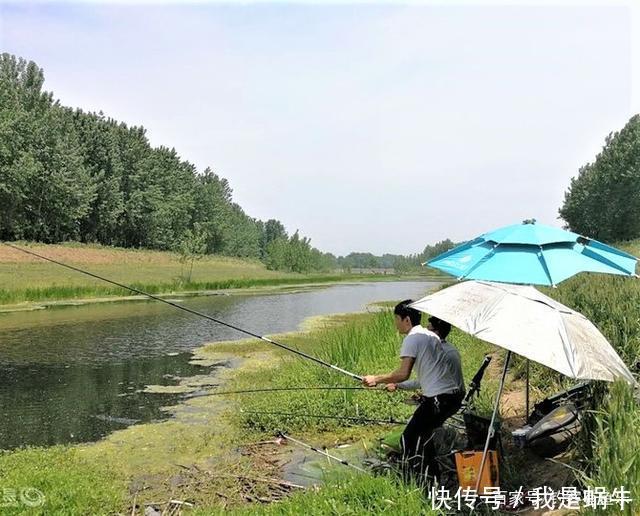 味型|夏季高温鲫鱼难钓搞懂其中奥妙,夏季野钓不难爆护