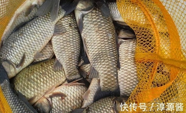 鲫鱼|寒冬季节钓鲫鱼,遇上刮风天“很头疼”,注意换个思路找鱼窝!