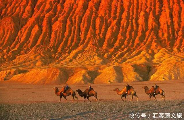 老年|在新疆伊犁杏花香雪里，等待杏花微雨中遇见你，从此一眼千年