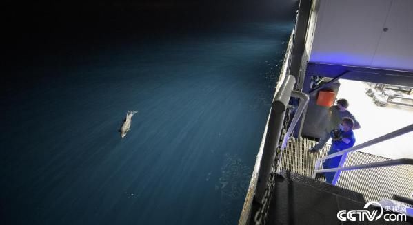 宇航员顺利返回地球 美国完成首次商业载人飞行任务