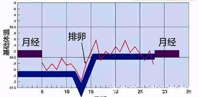 排卵日|小夫妻无法生育，领养的女孩越来越像妻子，基因检测后全家欢喜