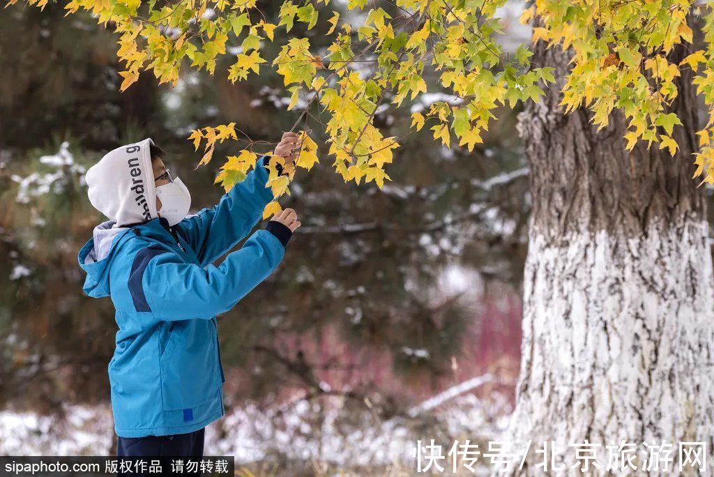 小雪|节气小雪丨天寒地冻，北京这里桃花却开了！（文末有福利）