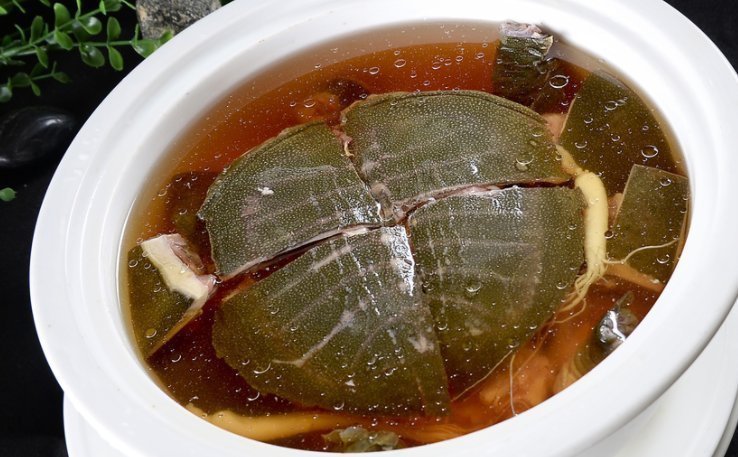 牛油果|会吃的人最长寿,常吃4种食物,燃烧脂肪,调理气血,谁吃谁受益