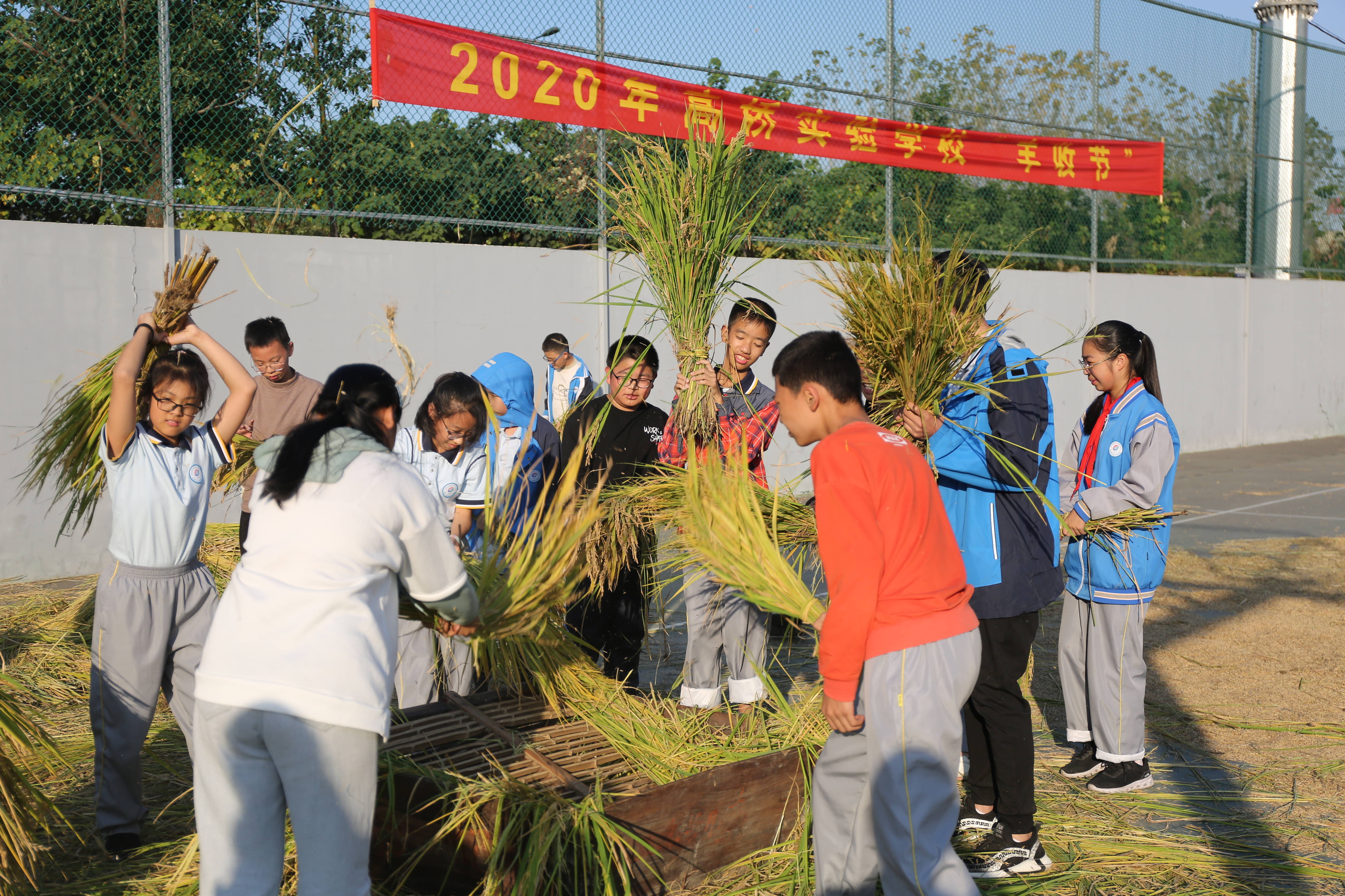 “厉行节约”从娃娃抓起！桐乡中小学校多形式推进节约教育