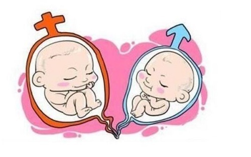 做试管生男生女的概率是多少呢?