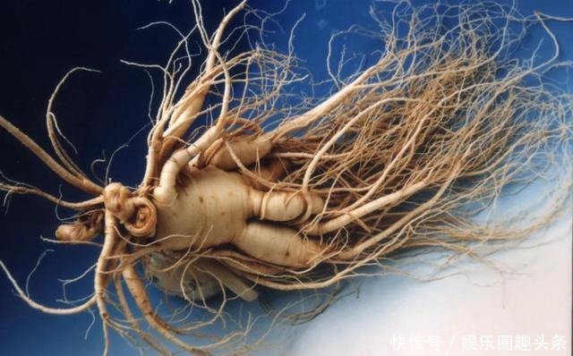 冰雪丝路|长白山的文化与精神是怎样炼成的!