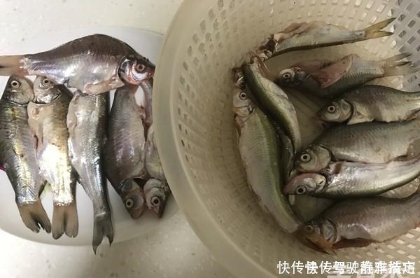 鱼肚磷片发黑怎么回事 鱼肚磷片发黑怎么回事