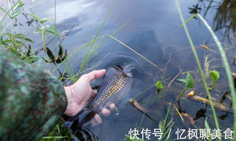 野钓鲫鱼用什么料打窝好？快来看看让你渔获满满