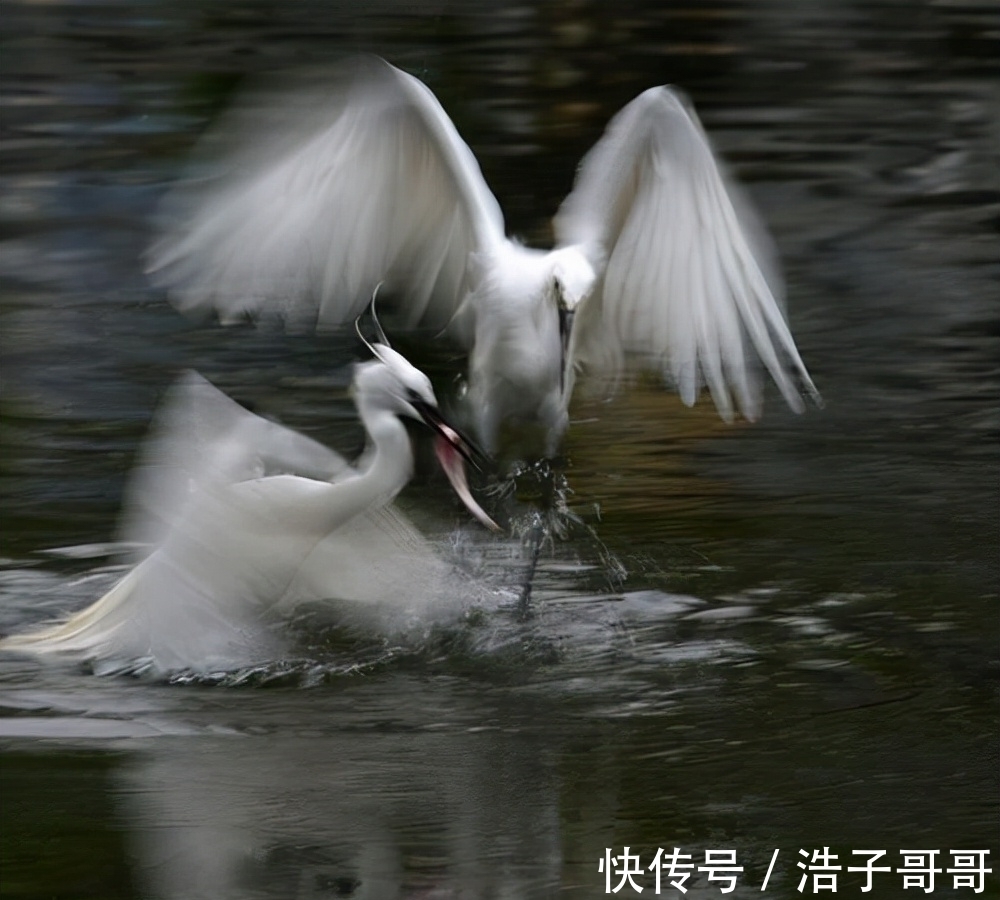 诗人#禅意人生：诗佛王维，九首著名的诗，极富禅意，值得品味、收藏