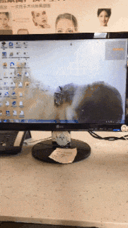 |搞笑GIF:女朋友很漂亮 就是脑子有点不好使