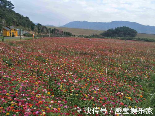 羊男|吃醋起来比女人还厉害的四大生肖男，十分在意对方，没安全感