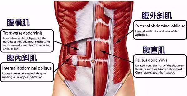 卷腹|腹肌训练，不需要花里胡哨的动作，这九个动作虐腹无死角