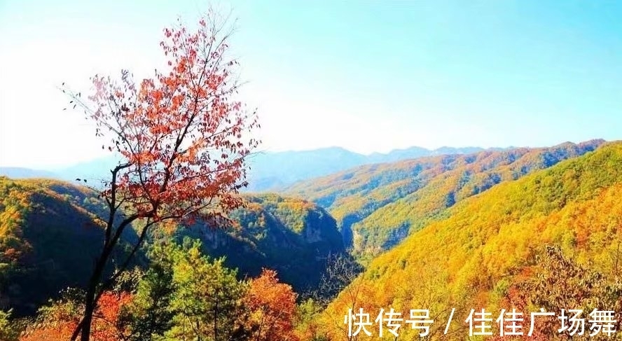 保护区|秋游米仓山，是一件惬意的旅行选择