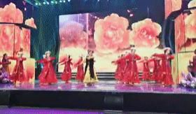 棒！定海老年人央视大赛捧回金奖！