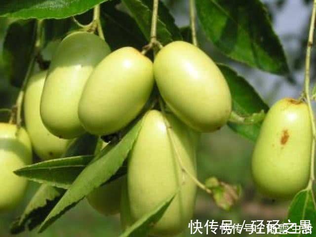 大人|孩子最该少碰的4种水果,特别是最后三种,大人也要管住嘴