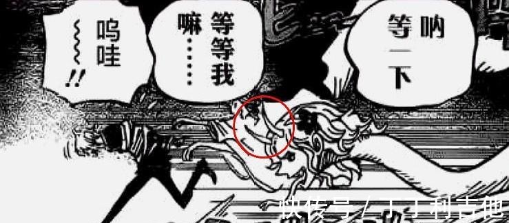 索隆|《海贼王》998话出现2处穿帮画面,“细节狂魔”尾田还是失误了