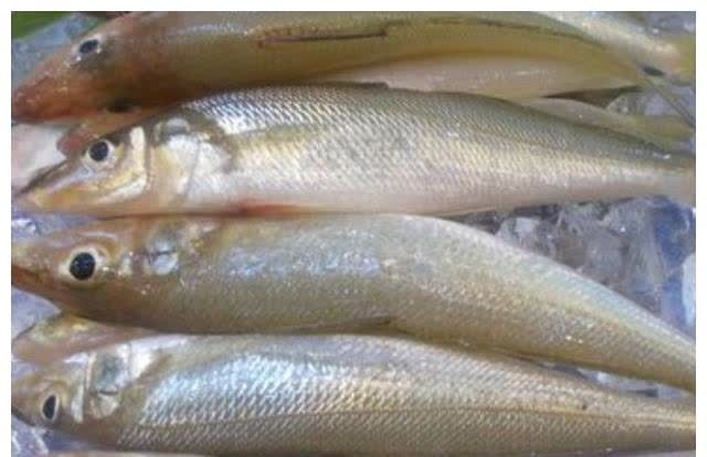 重金属|这4种鱼尽量少吃，可能含有甲醛和重金属，不妨了解