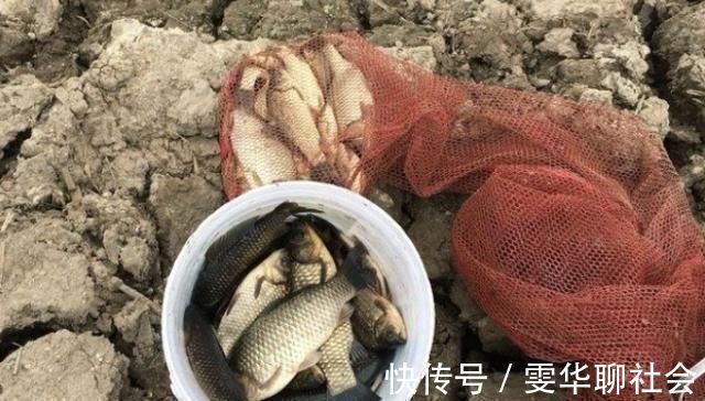 渔具店碰到这饵我从不放过,好用还便宜,简单加工后,板鲫特爱吃