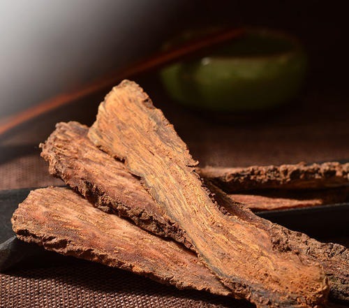 羊肾|阳气少了，筋就短了！一味药，补阳+养筋，纯中医人的心声